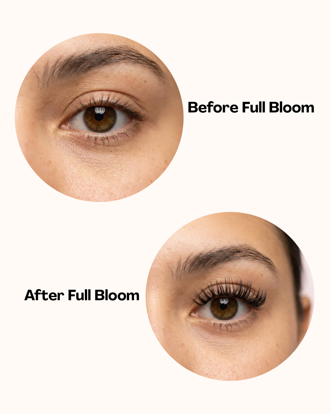Full Bloom